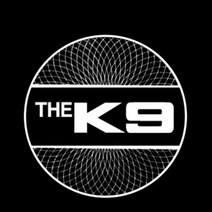 JK프리미엄 더K9 매립형 LED 도어라이트 2개한세트, 본상품선택, 본상품선택