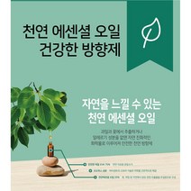 하이센트방향제 자동분사기 듀얼 디스펜서 실내 병원 화장실 원룸 오피스텔 욕실 신발장, 기기전용건전지(D)사이즈
