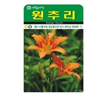 SN월드 야생화 씨앗 꽃씨앗 모음, 야생화 - 원추리(30립)