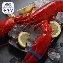 [씨토랑]캐나다 자숙랍스터 대 4미/미당 400~450g/냉동, 단품