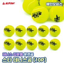 [테니스연습구] 스타 테니스공 (10개) 스타클럽 연습용 훈련용 테니스볼 공놀이 스쿼시공 스타스포츠 테니스용품