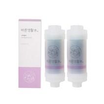 바른생활수 녹물 염소 제거 비타민 샤워필터, 라벤더 블라썸 x 2개