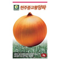 애기방울다다기 양배추 500립 방울양배추 양배추씨앗 양배추씨 채소씨 채소씨앗 야채씨 야채씨앗, 22_다농_천주중고황 양파(8g)