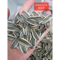 [신중국식품] 중국수입 생해바라기씨 볶지않은 생해씨 sheng gua zi 썽꽈절, 1kg
