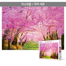 1000피스 직소퍼즐 액자세트 - 벚꽃길 (액자포함), 단품, 단품