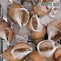 [어부의정성] 백고동 (소) 1kg(25-40미), 자숙, 자숙