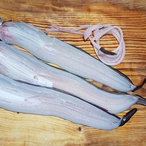기력충전 통영 욕지 돌장어 1kg 손질 +소스 선장직판, 돌장어 소 600g