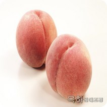 목하원예조경 복숭아나무 묘목 (유명) 접목1년특묘