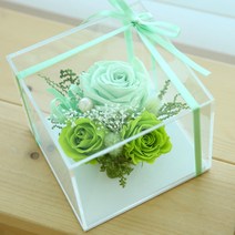 더봄큐브M GREEN, 큐브M GREEN