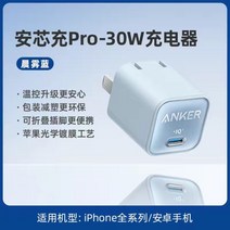30W 갈륨 질화물 프로 충전기 공동 고속 충전, 안신충전기30W블루