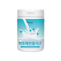 에너데이 초유단백질 락토페린 유산균 분말 밀크칼슘 mbp가루 미셀라카제인 유청단백 효능 추천, 1통, 200g