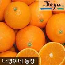 나영이네농장 맛좋은 감귤 10kg(중과)세일중-귤, 상세페이지 참조