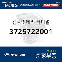 캡-밧데리 터미널 (3725722001) 베르나 아반떼 엑센트 티뷰론 스타렉스 싼타페 리베로 현대모비스 부품