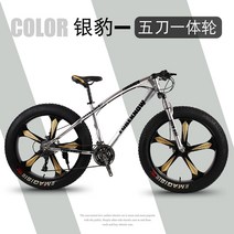 입문용 mtb 산악 로드 26인치 자전거 오프로드 광폭 팻바이크, 26인치 + 27속cm, 실버 (5도 일체형 휠)