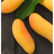 제이블릭 태국 무지개 망고 2.5kg 5kg 레인보우망고 골드 코스트코 대왕 특대 특품 특상품 선물용 가정용 선물세트 고당도 코끼리 항공직송 스테비아급, 무지개망고 5kg(중과-10~18과)
