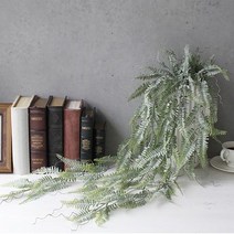 [바보사랑] 잎바인 노무라 부쉬 1P