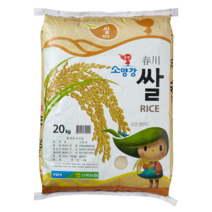 강원도의 힘 춘천 소양강쌀 20Kg 2022년산 햅쌀