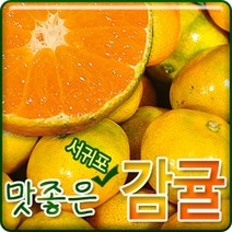 서귀포농원 첫수확 비가림 하우스 감귤 5kg 10 kg, 1개, 고당도 비가림 하우스  감귤5kg로얄과(S~M)