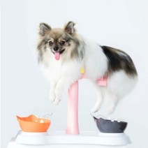 펫올라잇 GP100-01 강아지 고양이 애견 반려동물 목욕 미용 거치대 의자 테이블, 펫올라잇 GP100-01 (100개 한정수량)