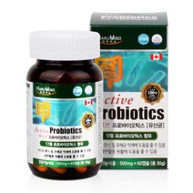 [하루미소] 액티브 프로바이오틱스 (500mg x 60캡슐), 단품, 단품