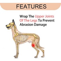 관절영양제 WENQUSEN 인대 긴장 또재활 수술로 회복을 회복 가능, [04] 빅사이즈