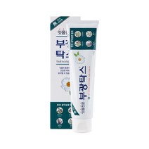 부광약품 치약 부광탁스 120g, 1개