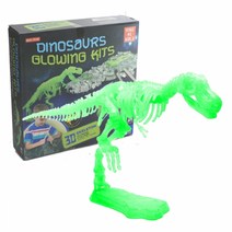 오꿈 공룡화석발굴 키트, B01 티라노사우루스(야광)801, 1개