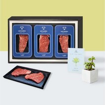 세이프한우 1++ 투쁠 한우 프리미엄 3종 한우선물세트 이바지 추석 예단 설 명절, A세트 900g, 포장추가 안함