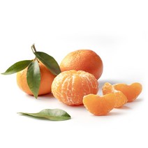 제주 서귀포 프리미엄 제철과일 고당도 천혜향 1KG 3KG 5KG 10KG, 3KG(K1168705), 1개