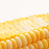 23년 첫수확 초당옥수수 밀양 제주 미니 옥수수 5개 10개 20개, 1box, 6. 정품(14cm 이상) 20입