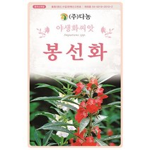 다농 봉선화 씨앗 8g 야생화 씨앗