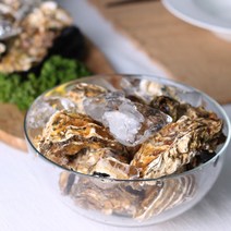 산지직송 통영 채취 삼배체굴 사계절굴 석화 석굴 수출용 하프쉘 1kg, 반손질 삼배체 하프쉘 1kg, 1개