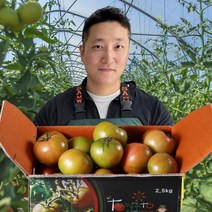 셔리푸드 부산 농협인증 대저 짭짤이 토마토 짭짜리 산지직송 고당도 무농약 인증, [옵션3] 짭짤이 토마토 2.5kg