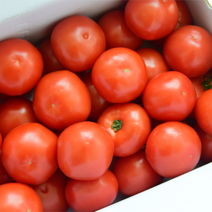 산지직송 정품 고당도 탱글한 완숙 찰토마토 4-5번과 1box 5kg