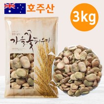 호주 파바빈(대) 3kg 23년산 햇 파바빈콩 원물 파바빈 콩 수입사 직판 TV홈쇼핑 공급사, 1팩