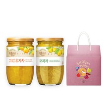 복음자리 과실차 실속형 선물세트 (유자 모과 생강 대추 배도라지 민트유자 쌍화), 유자차480g+생강차470g