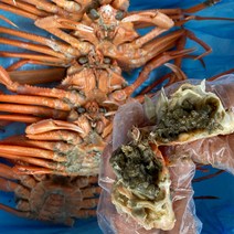 구룡포 프리미엄 연지홍게 2kg 5-7미 b급홍게 3kg 9-11미 자숙 붉은대게, 프리미엄등급 연지홍게 2kg 5-7마리
