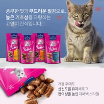말썽쟁이여름 고양이 캣 반려묘 져키 영양 간식 비타크래프트 비타 캣얌 4종 치킨 캣크라스 리버소세지 치즈 연어 골른데르피쉬 40g x 9개, 2+1 캣얌 리버소세지 40g 3개