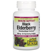 내추럴팩터스 Natural Factors 블랙 엘더베리 100mg 빠른 작용 소프트젤 60정, 60 개