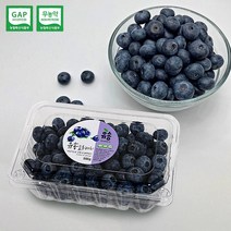 [충북청주] 별빛담은 무농약 블루베리(생) 1kg18~19mm특, 단품
