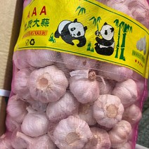 중국마늘 상품 검색결과