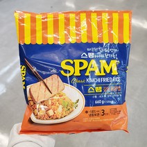 [홈플러스] 씨제이 스팸김치볶음밥 660g x 1개, 아이스박스포장