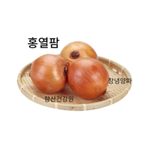 우포누리 양파즙180개 혈관개선 당뇨예방 (자색양파즙.자연산붕어즙.호박즙칡즙.양배추즙.우슬닭발.배 도라지.비트즙), 180개, 110ml, 110