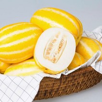 성주 고당도 꿀 정품 참외 2kg 3kg 5kg 10kg 산지직송 못난이 꼬마 제철과일, 정품 성주참외 2kg (5~10과)