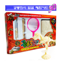 [독스퍼] 공룡화석 발굴키트 고고학자 체험 공룡뼈 화석 체험 단품, 2) 초록 x 1개