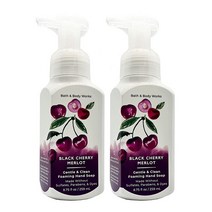 배쓰앤바디웍스 Bath and Body Works Gentle 포밍 핸드 솝 블랙 체리 메를로 248.1g(8.7온스) (2팩), 8.75 Fl Oz (Pack of 2)_Aloe Ve