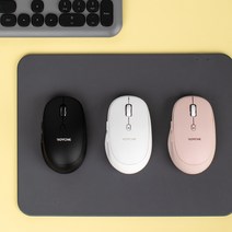 로이체 무선 옵티컬 마우스 RX-700, 블랙, 기본