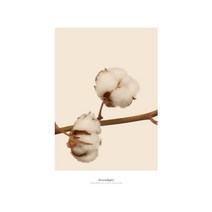 겨울 따뜻한 목화 액자 중 안방꾸미기 거실그림 개업 건물복도 미용실 신혼 꽃잎, 알루미늄액자 (블랙)