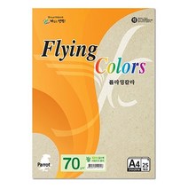 복사용지 플라잉칼라 Pk02 얼스팩 A4 70g 복사용지 25매입 10개 hb151ea, 본상품선택