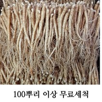 삼계탕용 갈비탕용 작은 실삼계 무료세척 실속형 100뿌리이상, 잔삼계750g(150-200뿌리), (세척해주세요O)